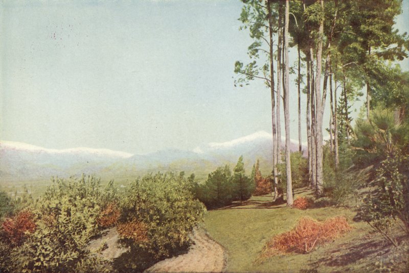 Old Baldy, de Smiley Heights, Califórnia (foto colorida) de American Photographer