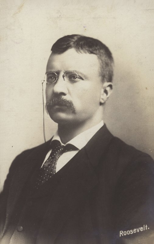 Roosevelt de American Photographer