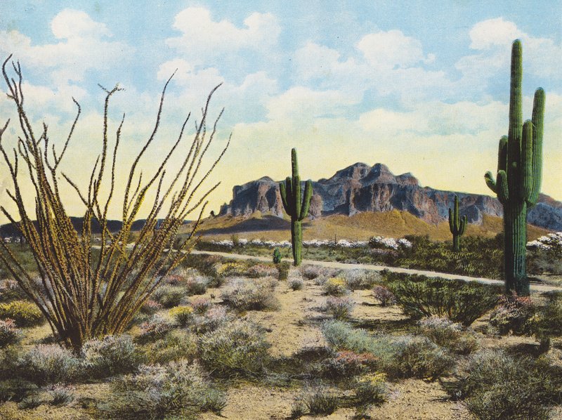 Montanha e deserto de Superstition, "Apache Trail" (fotografia a cores) de American Photographer