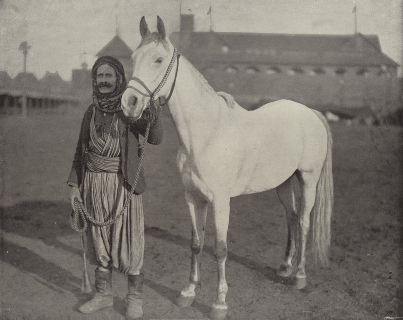 O Steed do Prêmio dos beduínos de American Photographer