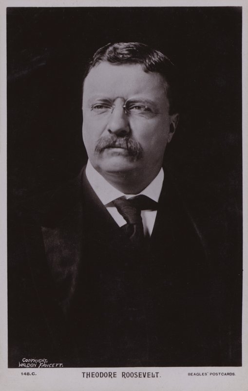 Theodore Roosevelt, político americano e 26º Presidente dos Estados Unidos (fotografia a preto e branco) de American Photographer