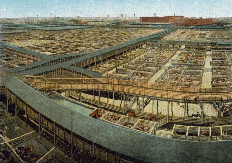 Union Stock Yards (foto colorida) de American Photographer