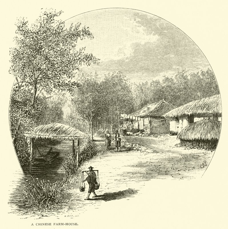 Uma fazenda chinesa de American School
