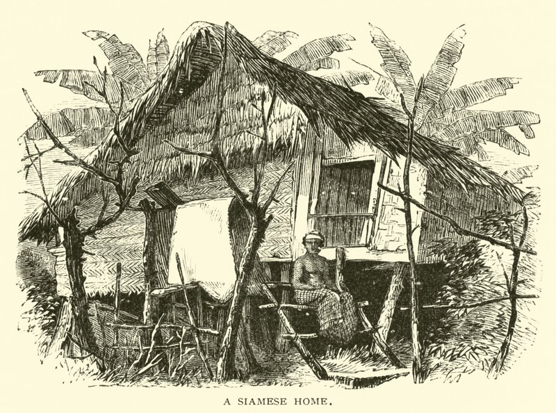 Uma casa siamesa de American School