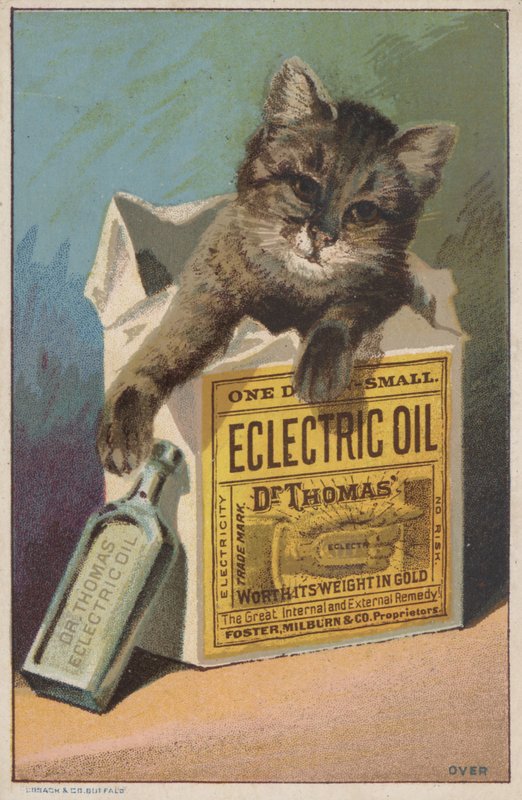 Anúncio para o Dr. Thomas "Eclectric Oil de American School