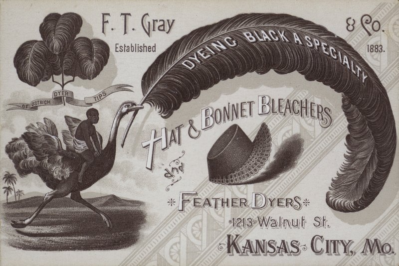Anúncio para F T Gray, branqueadores de chapéu e touca e tintureiros de penas, Kansas City, Missouri, EUA (litho) de American School