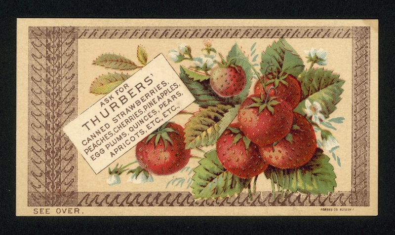 Propaganda para frutas enlatadas Thurbers de American School