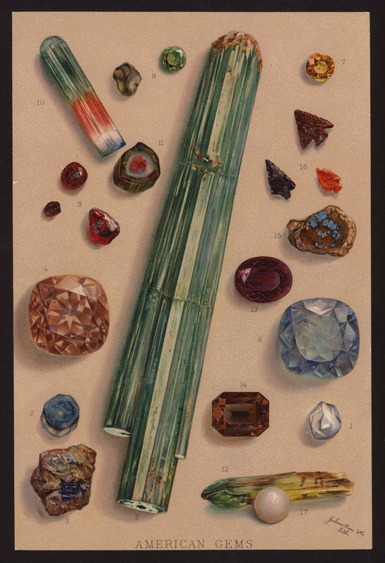 Gemas americanas (litografia a cores) de American School