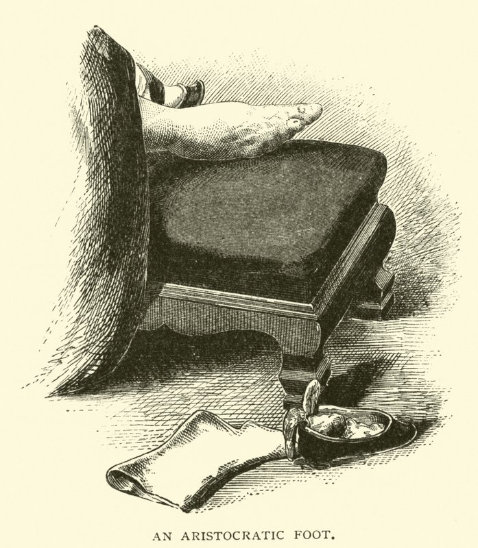 Um pé aristocrático de American School