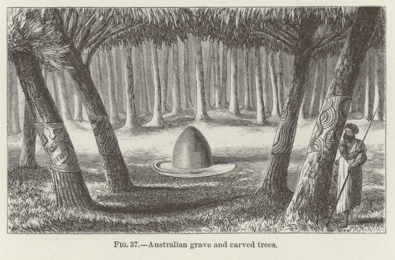 Árvores graves e esculpidas australianas de American School