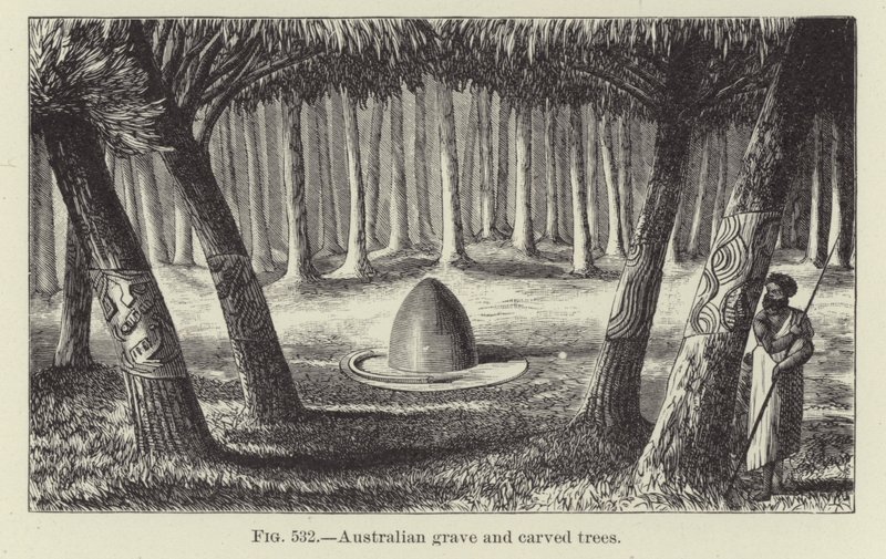 Árvores graves e esculpidas australianas de American School