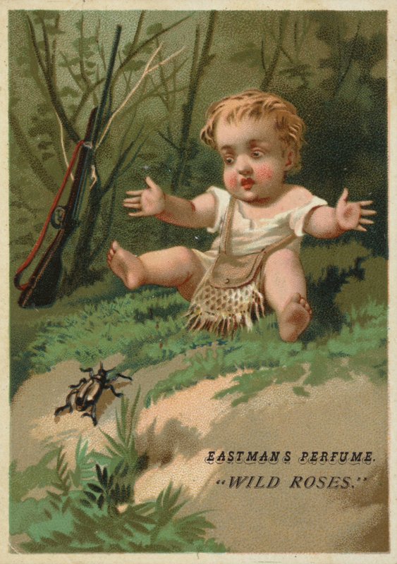 Bebê na floresta de American School