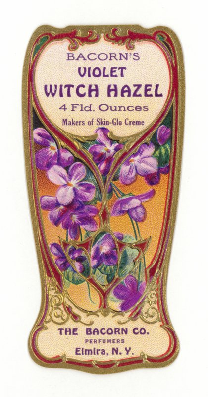 Rótulo de avelã violeta bruxa Bacorns de American School