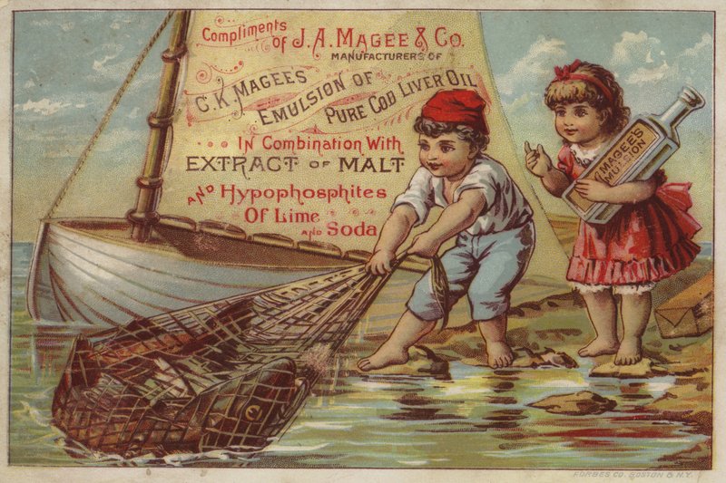 Menino puxando-em rede de pesca de American School