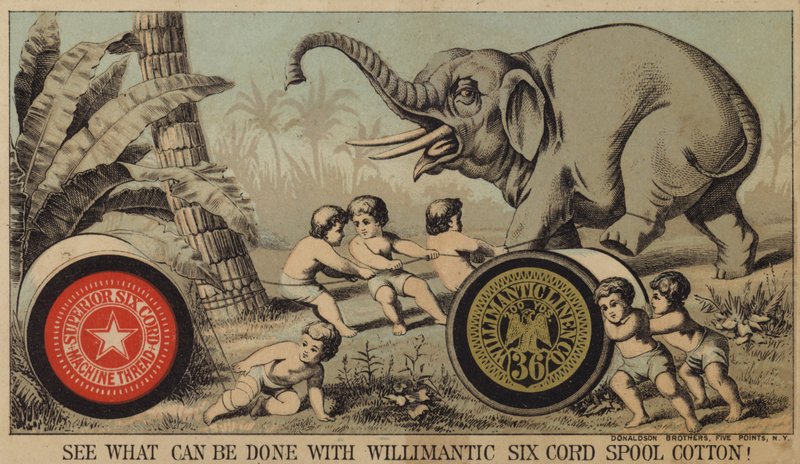 Meninos, trapping, elefante, com, algodão de American School