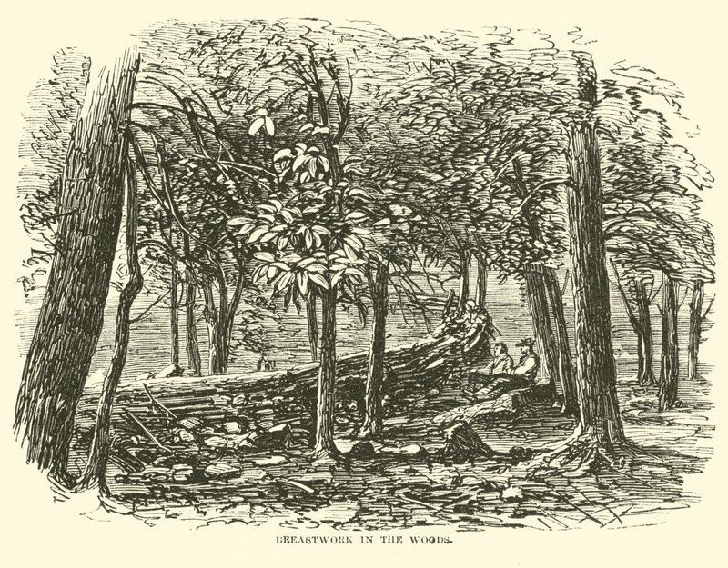 Trabalho de peito na floresta, julho de 1863 de American School