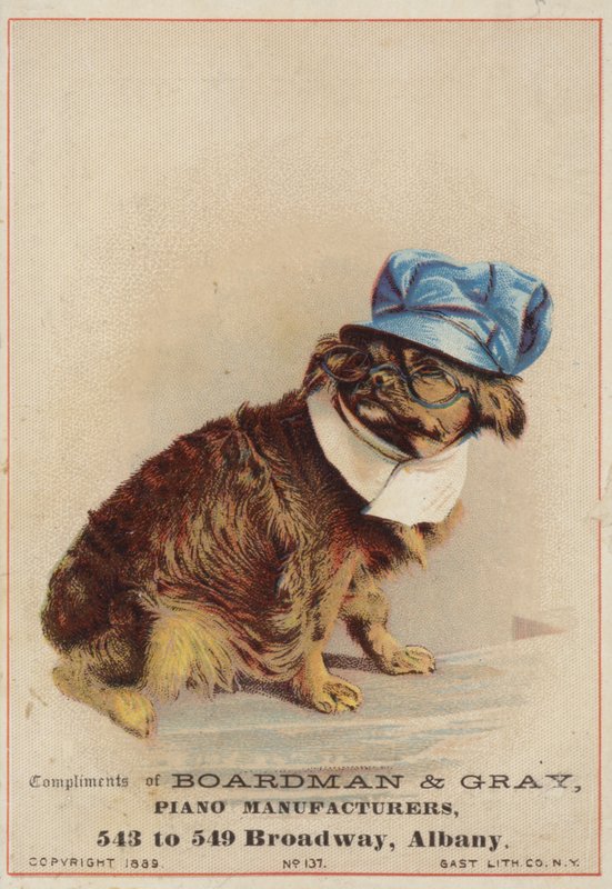 Cachorro marrom, vestindo um chapéu e óculos de American School