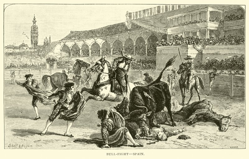 Luta de touros, Espanha de American School