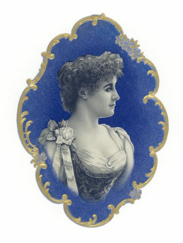 Busto de uma jovem mulher cortada cabelo de American School