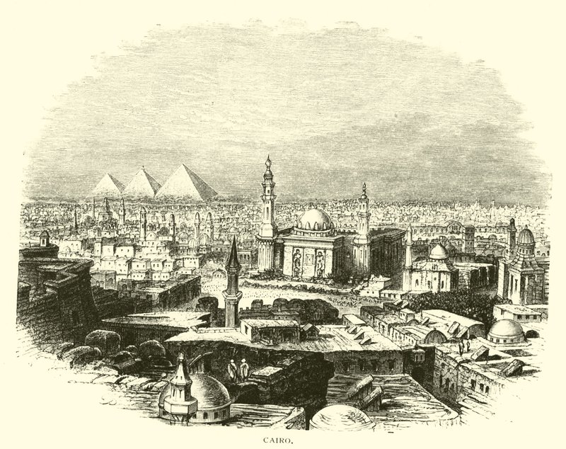 Cairo de American School