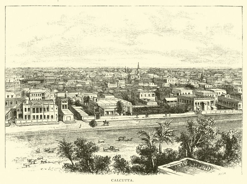Calcutá de American School