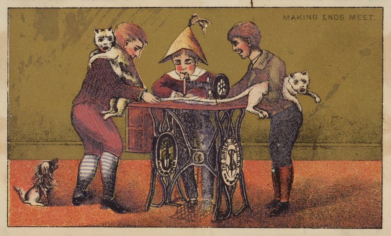 Caudas de gatos sendo costuradas juntas de American School