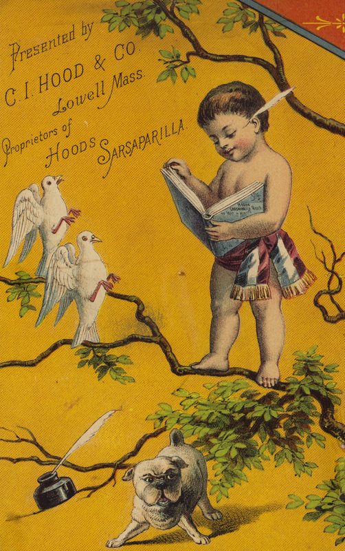 Querubim, lendo o livro na árvore de American School