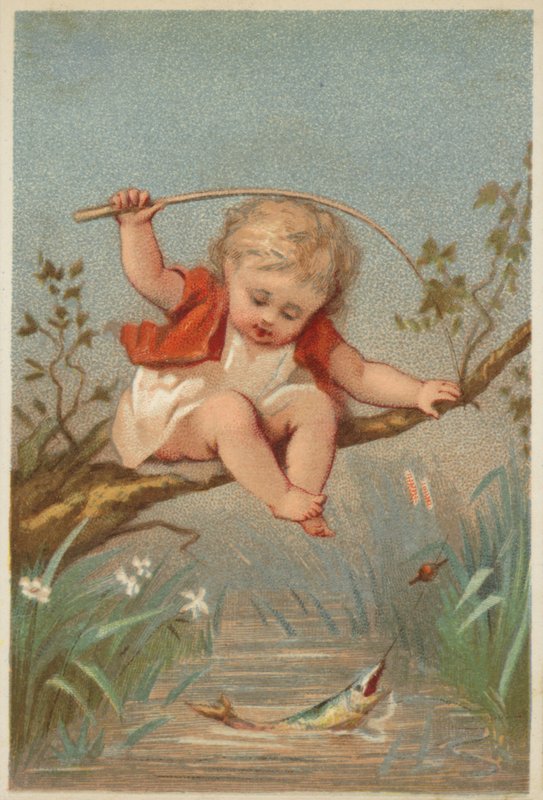 Criança, pesca, em, um, fluxo de American School