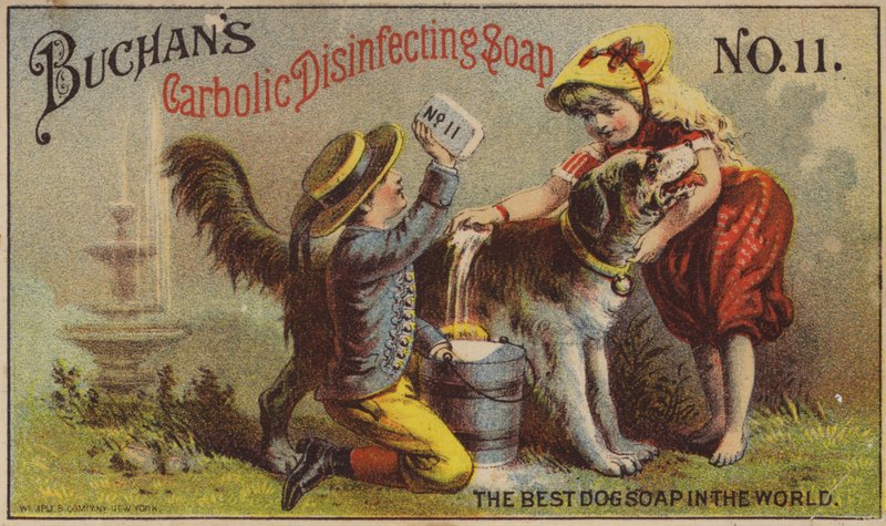 Crianças, lavando cachorro de American School