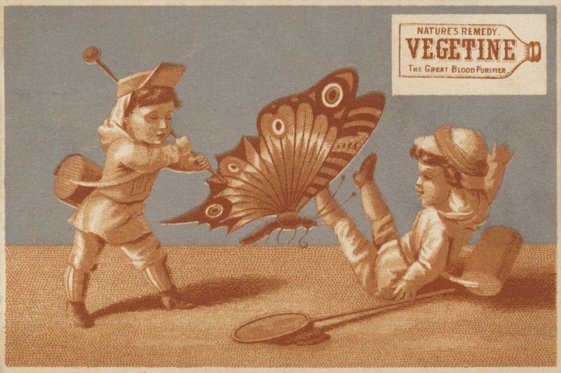 Crianças com borboleta gigante de American School