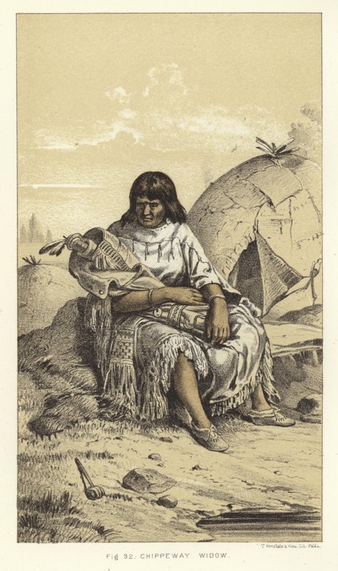 Viúva Chippeway de American School