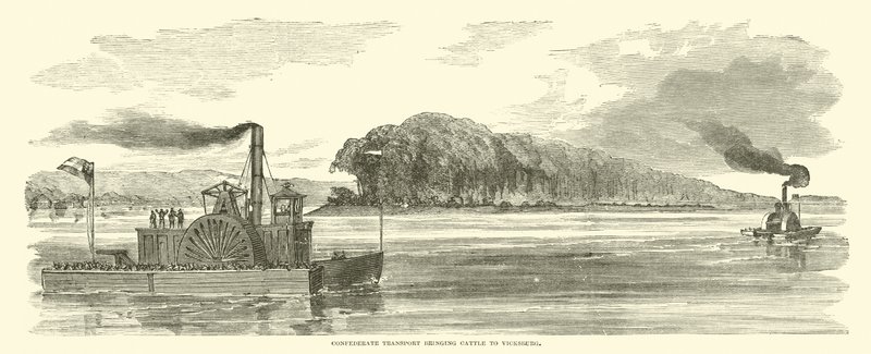 Transporte confederado trazendo gado para Vicksburg, em fevereiro de 1863 de American School