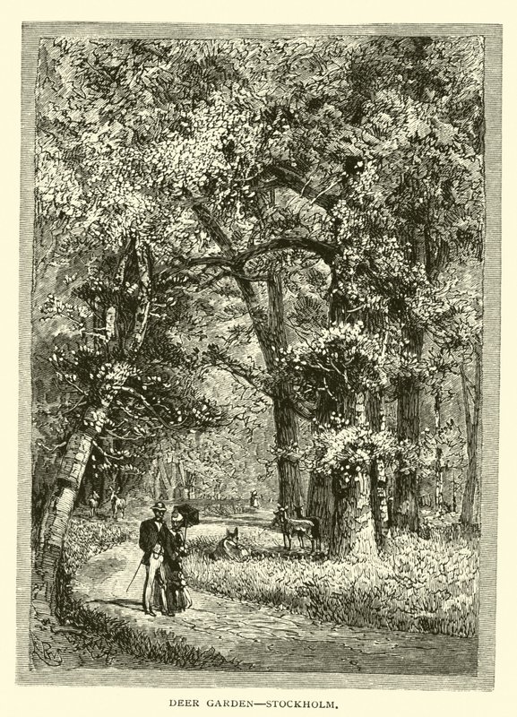 Deer Garden, Estocolmo de American School