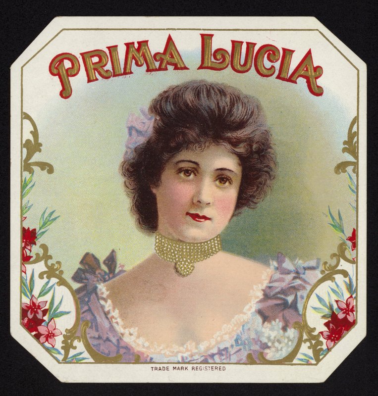 Demure Lady de American School
