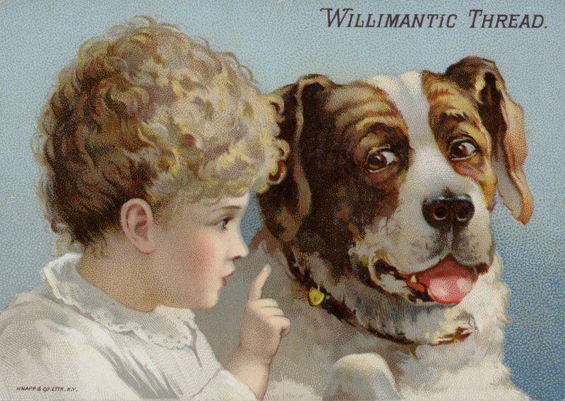 Cão e criança de American School