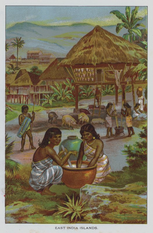 Ilhas do leste da Índia de American School