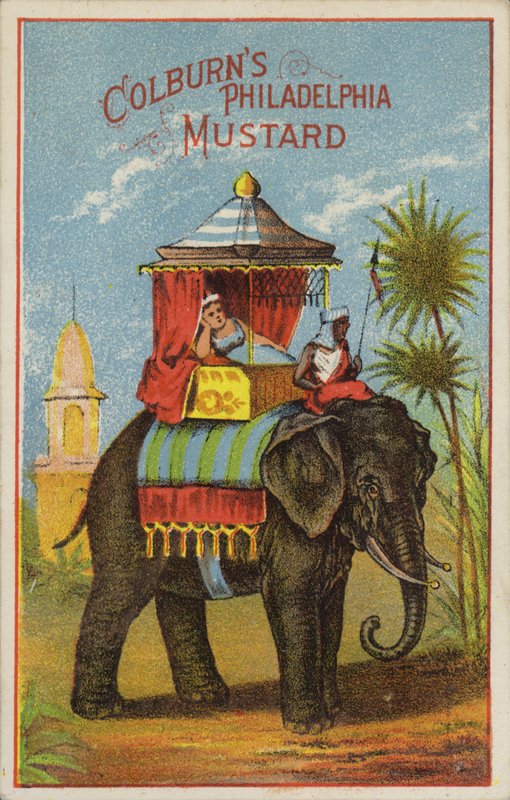 Passeio de elefante de American School