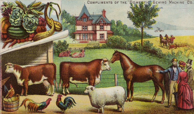 Casa de fazenda e animais de American School