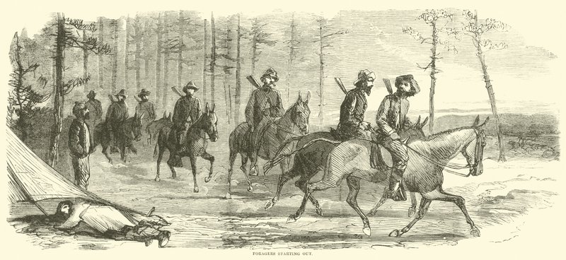 Forrageiras começando em março de 1865 de American School