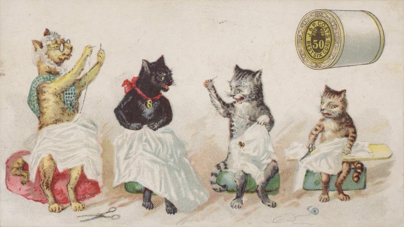 Costura de quatro gatos ocupados de American School