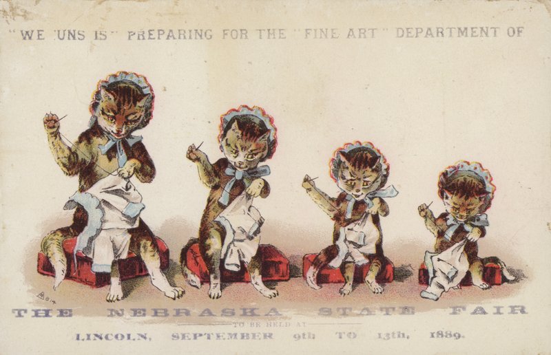 Quatro gatos costurando bonés vestindo de American School