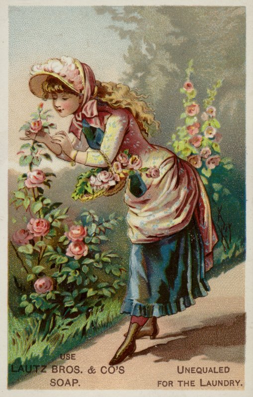 Garota cheirando as rosas de American School