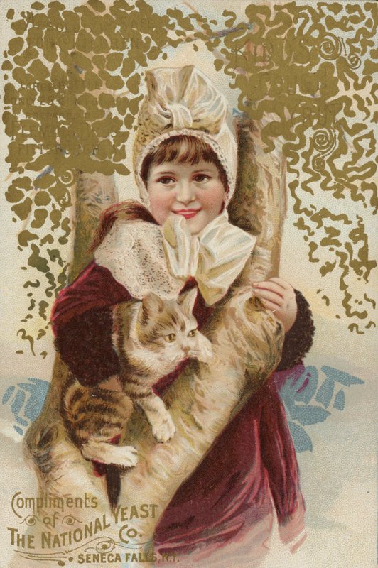 Menina, acaricie, gato, por, árvore de American School