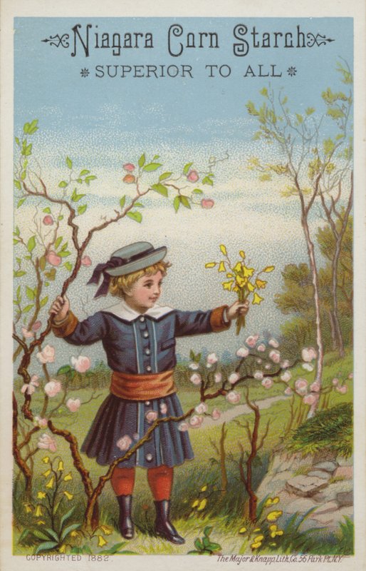 Menina, segurando, grupo flores, em, campo de American School