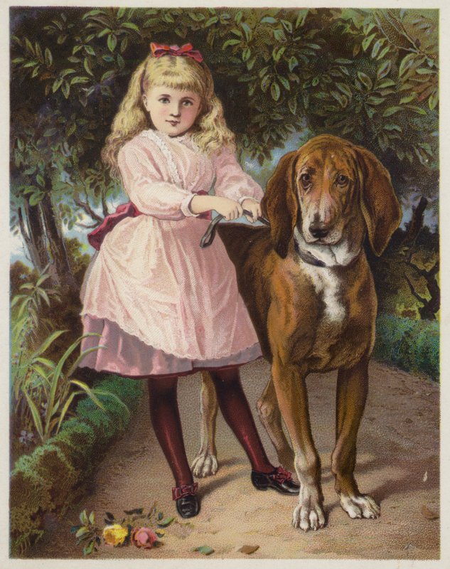 Menina, segurando, bloodhound, ligado, um, liderar de American School