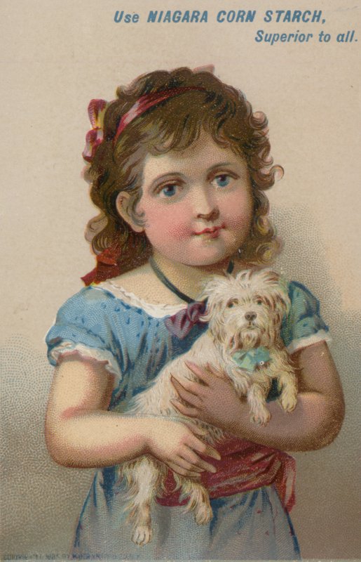 Menina, segurando, cachorro pequeno, em, dela, braços de American School