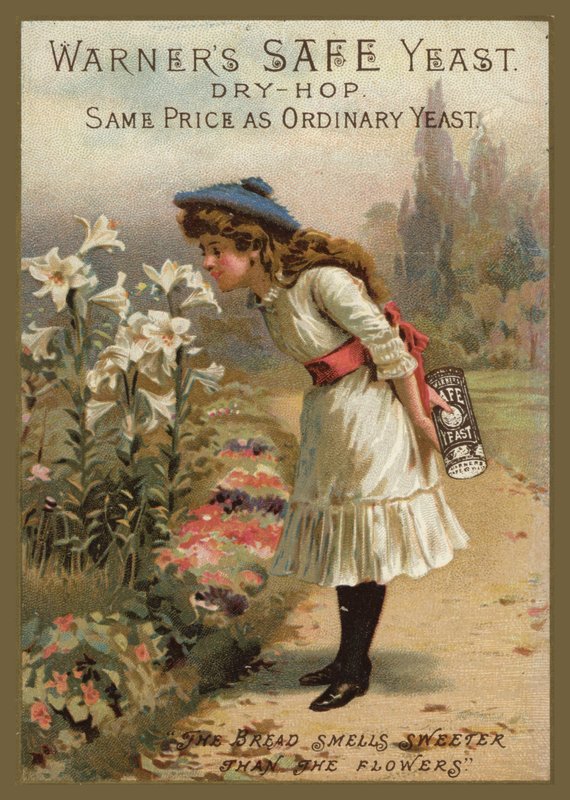 Menina, cheirando, lírios, segurando, fermento de American School