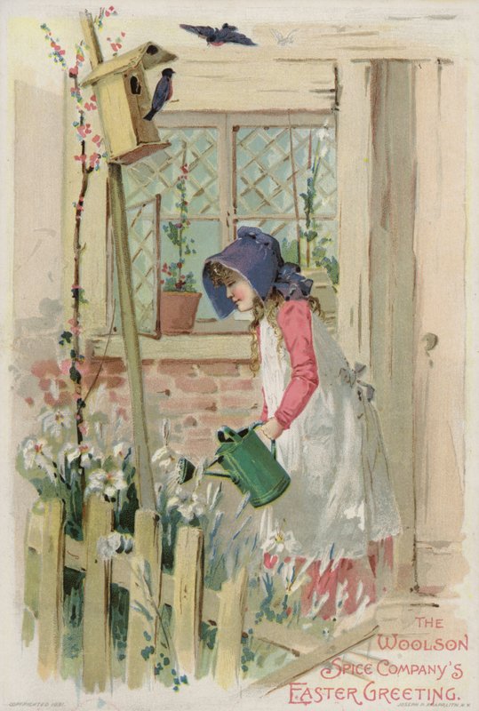 Menina, com, verde, lata molhando de American School
