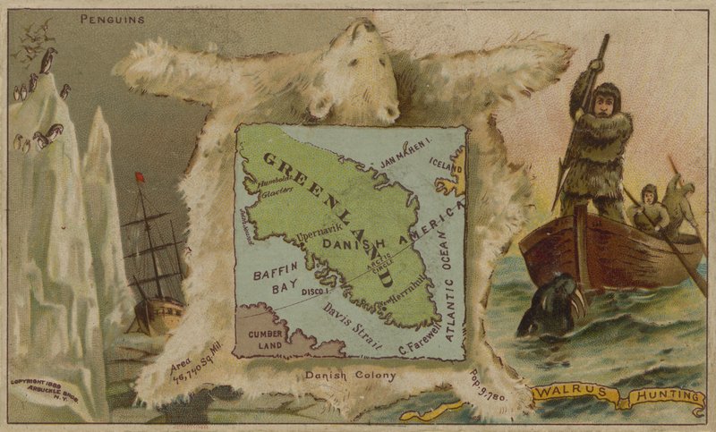 Gronelândia, pinguins, ursos polares e caça à morsa (cromolitografia) de American School