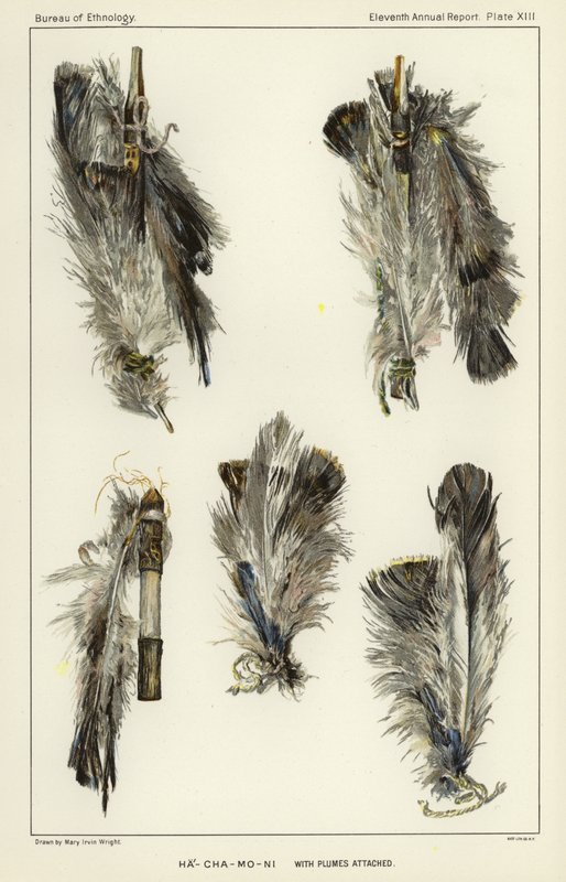 Ha-Cha-Mo-Ni com plumas anexadas de American School